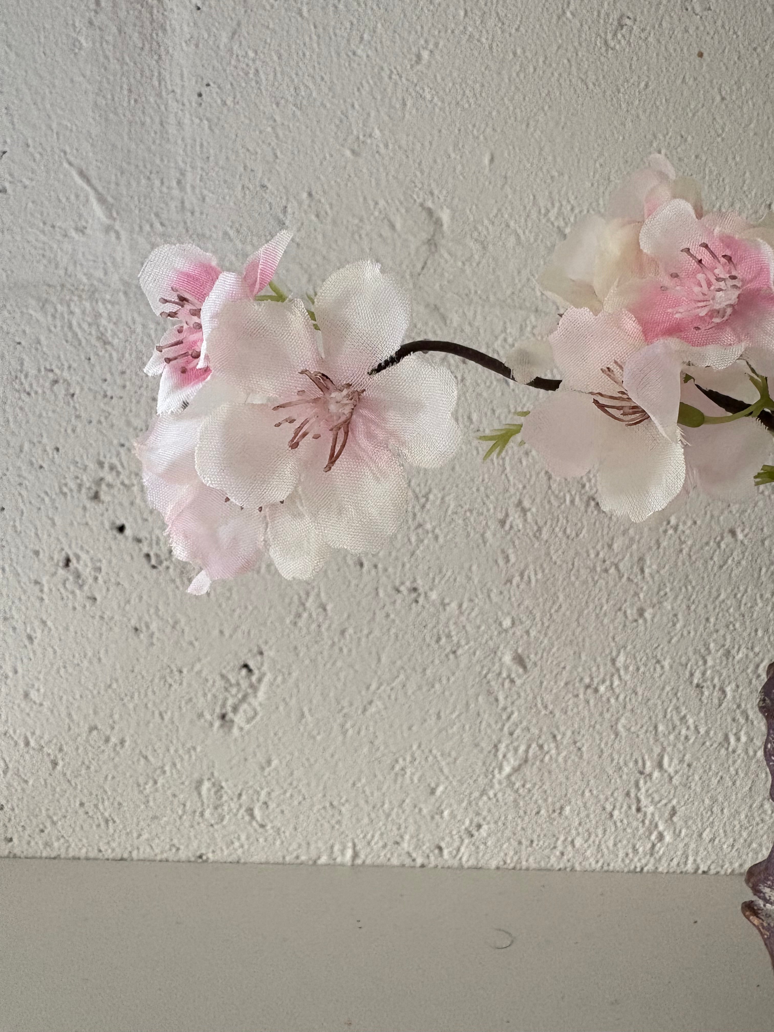 Bonsai sakura 2